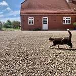 Hennebjerg *