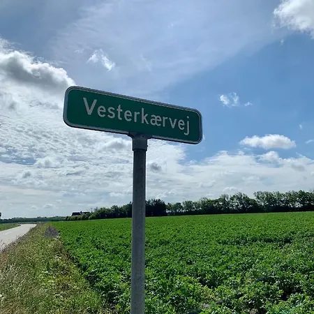 Farm stay Hennebjerg *
