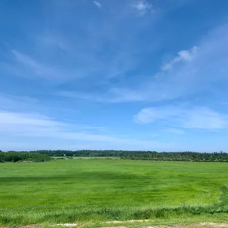 Farm stay Hennebjerg *