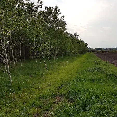 Farm stay Hennebjerg *